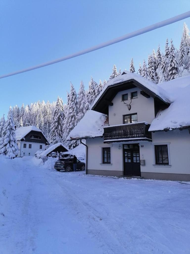 Apartman Irvin Краньска Гора Экстерьер фото