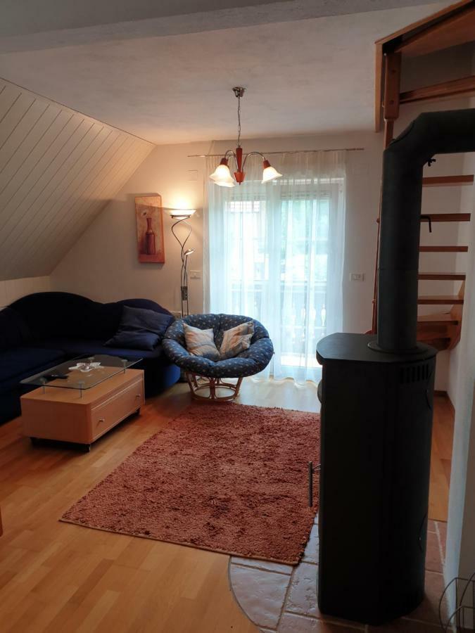 Apartman Irvin Краньска Гора Экстерьер фото