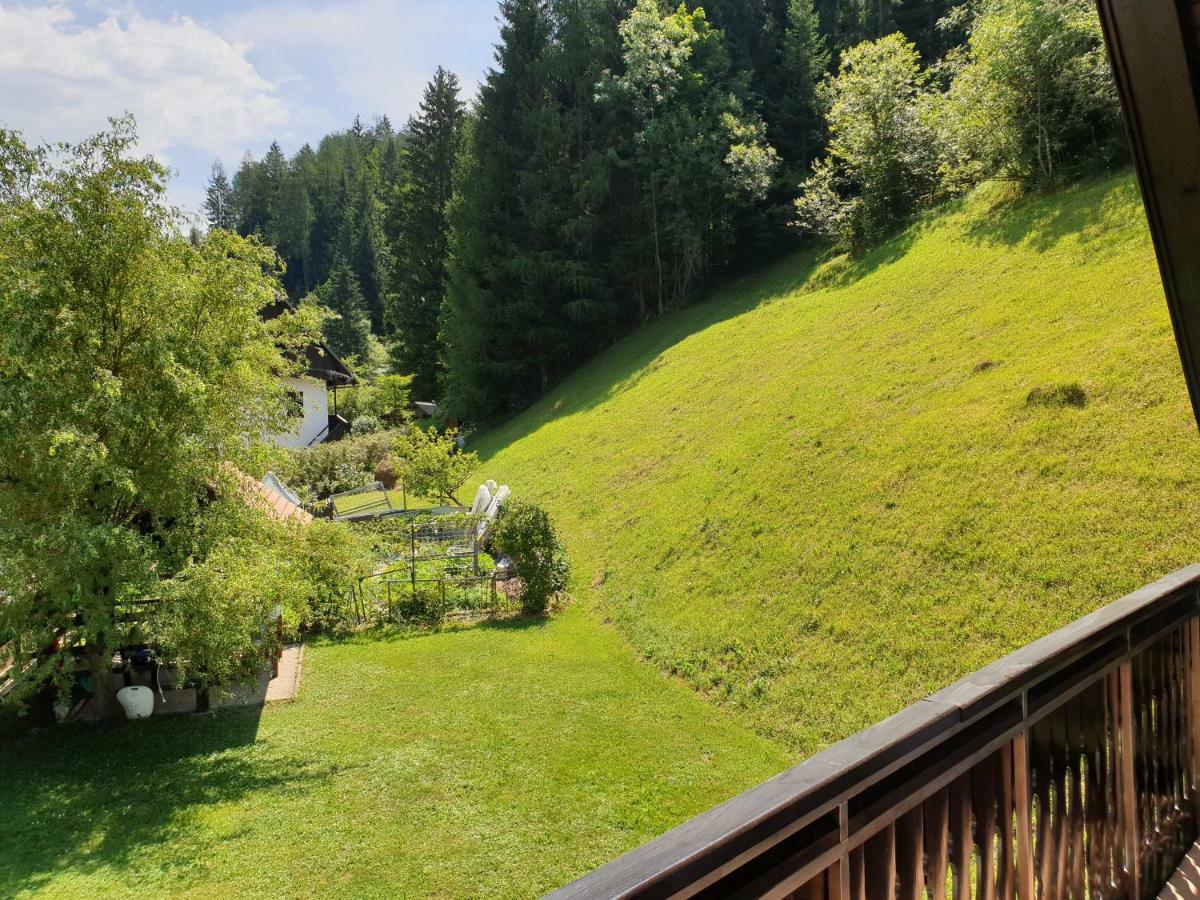Apartman Irvin Краньска Гора Экстерьер фото