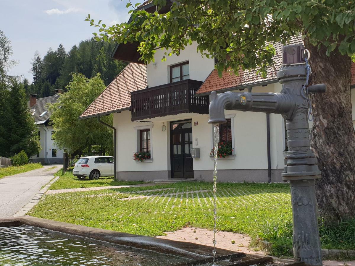 Apartman Irvin Краньска Гора Экстерьер фото